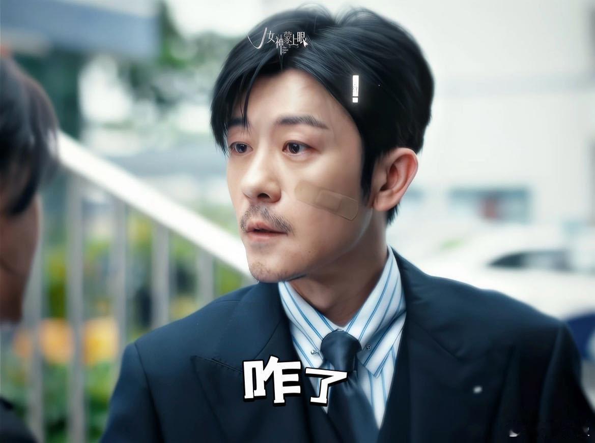 辛芷蕾林雨申新剧一见面就火拼指责→投诉→投诉还成了，康律问冒犯了怎么办，得到“人