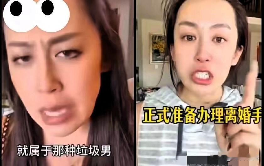 58岁的法学教授陈枫，最近又捅了马蜂窝！这位在政法大学教了32年刑法、专攻边境管