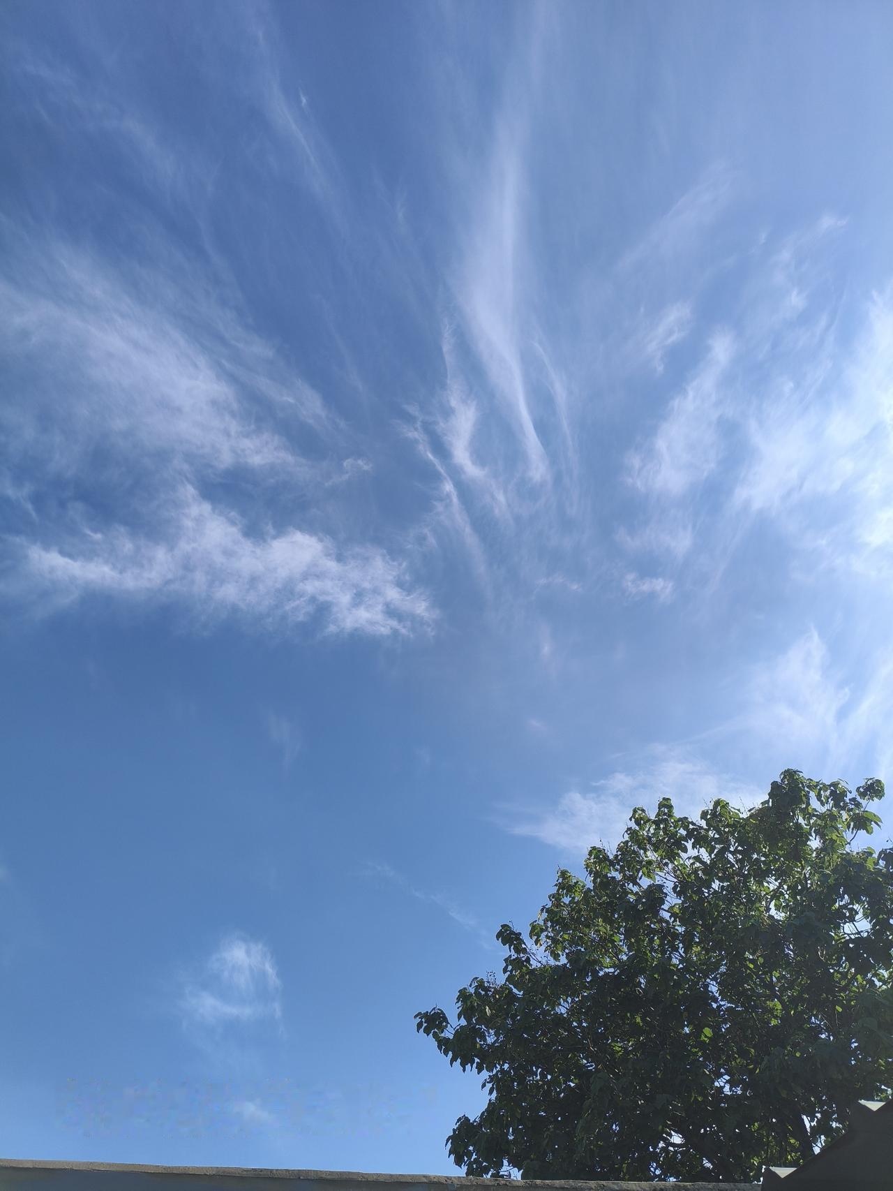 我认为会！
上学的日子是一生之中永远的记忆！