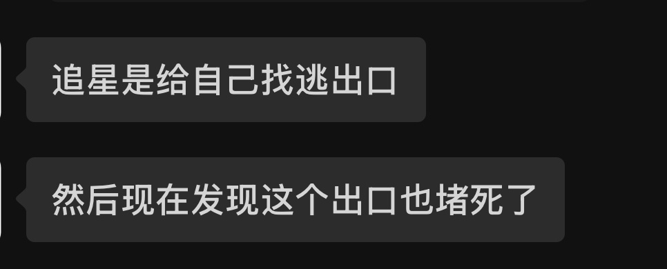 我觉得追星这个东西真的很害人…因为只要追过星感受过那种强烈的情绪起伏，就会把自己