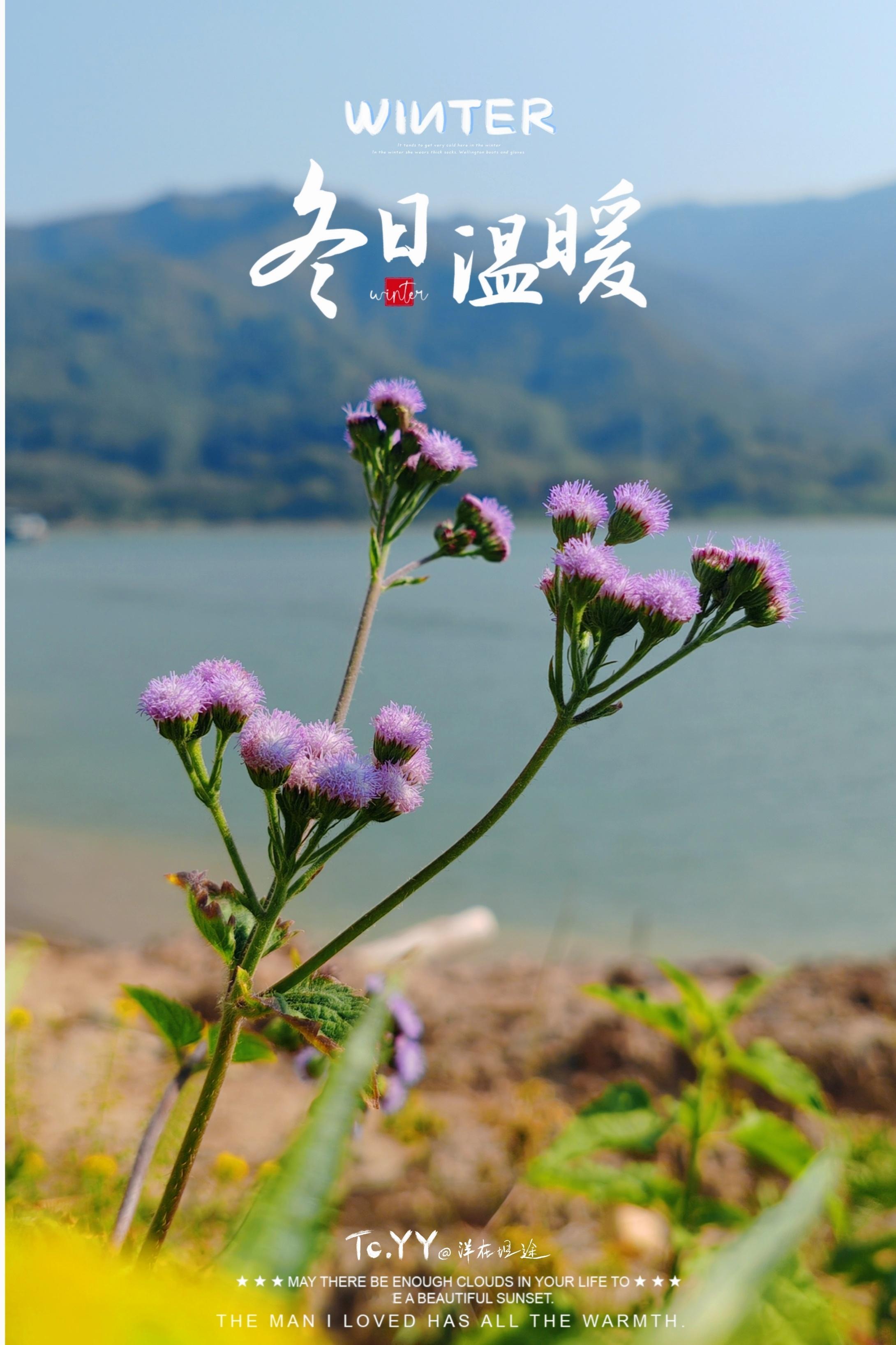 阳光信用 每日一善  花一般的季节，花一般的风景，花一般的我们，站在花一般的微光