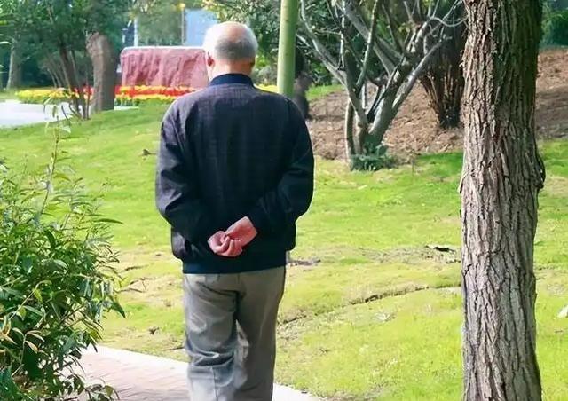 散步是一项人人都能做的健康活动，尤其是对老年人来说，散步被认为是最简单的锻炼方式