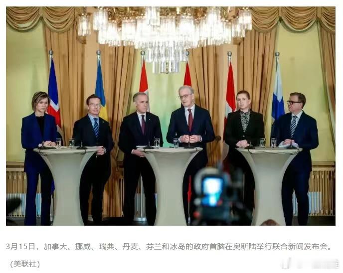 “六国另起炉灶，构建中等强国新联盟”。3月15日，加拿大等六个曾经的美国盟友在挪