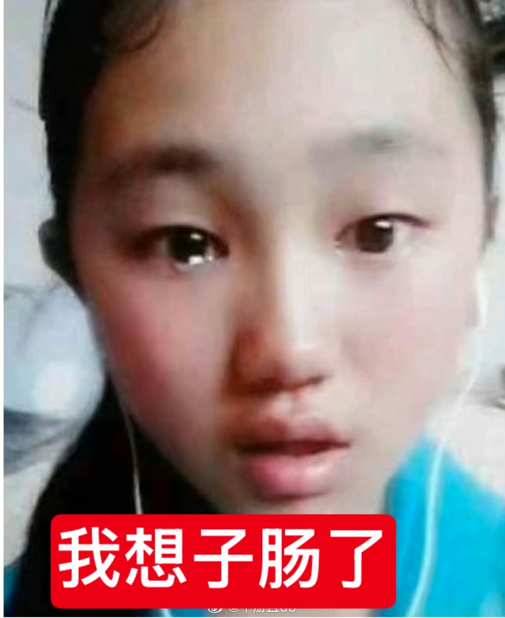 分享图片 