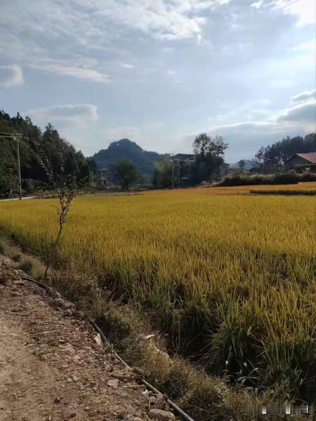为生活奔波的无奈，藏着对家人最深的牵挂
 
前几天晚上下班，刚拖着疲惫的身子回到