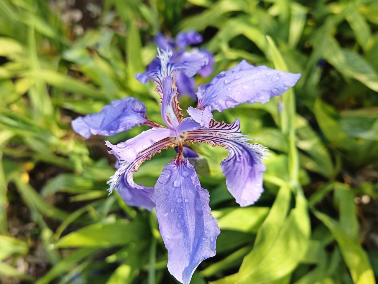 一个人的时候，更要照镜子，正衣冠，那才是好好爱自己的超级体现。