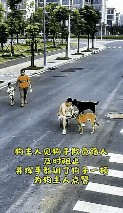 虽然狗没有栓绳，但是狗主人的反应值得肯定，如果所有狗主人都能如此，那和谐的场面将