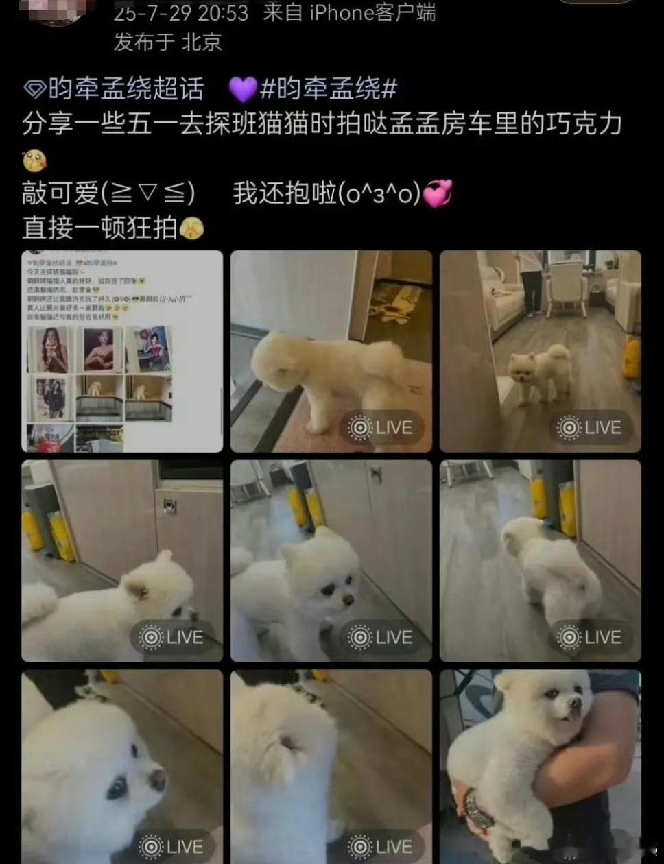 起因是一个孟子义和李昀锐的cp粉发出了她去孟子义剧组探班的照片，甚至她还上了孟子