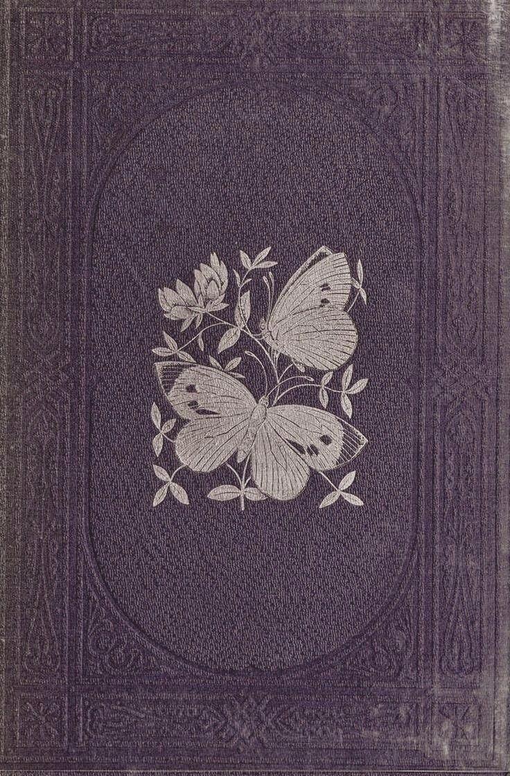 【背景图】分享‹𝟹₊˚⊹♡紫色|梦幻|神秘|优雅|复古|手绘|蝴蝶|镜子|花纹