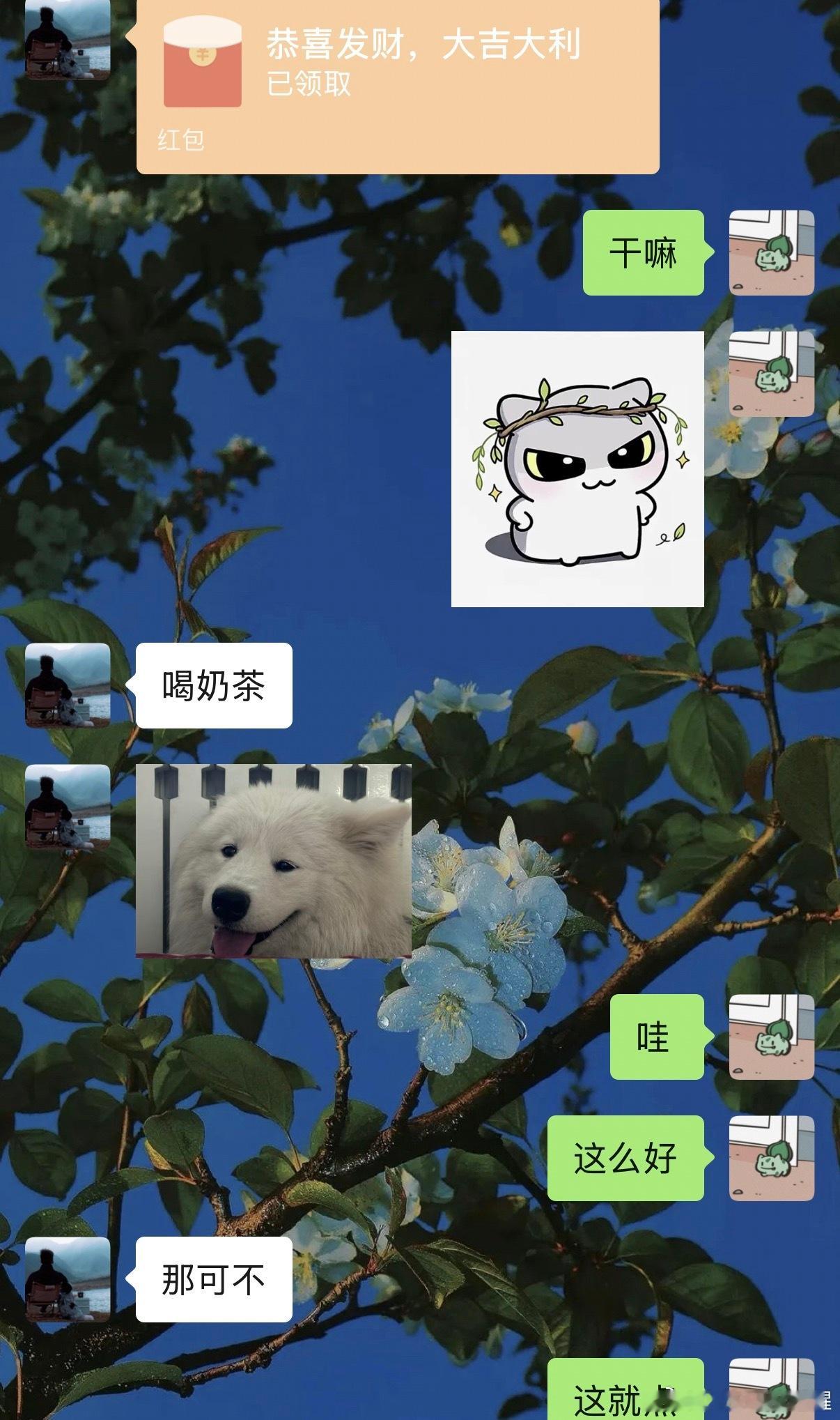 被宠了诶