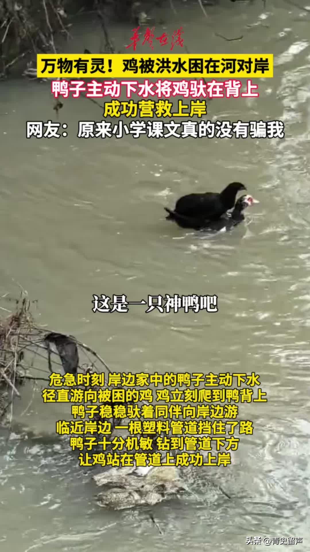 谁能想到，神话故事在现实生活中出现了。
近段时间，湖南省长沙市宁乡，连续多天暴雨