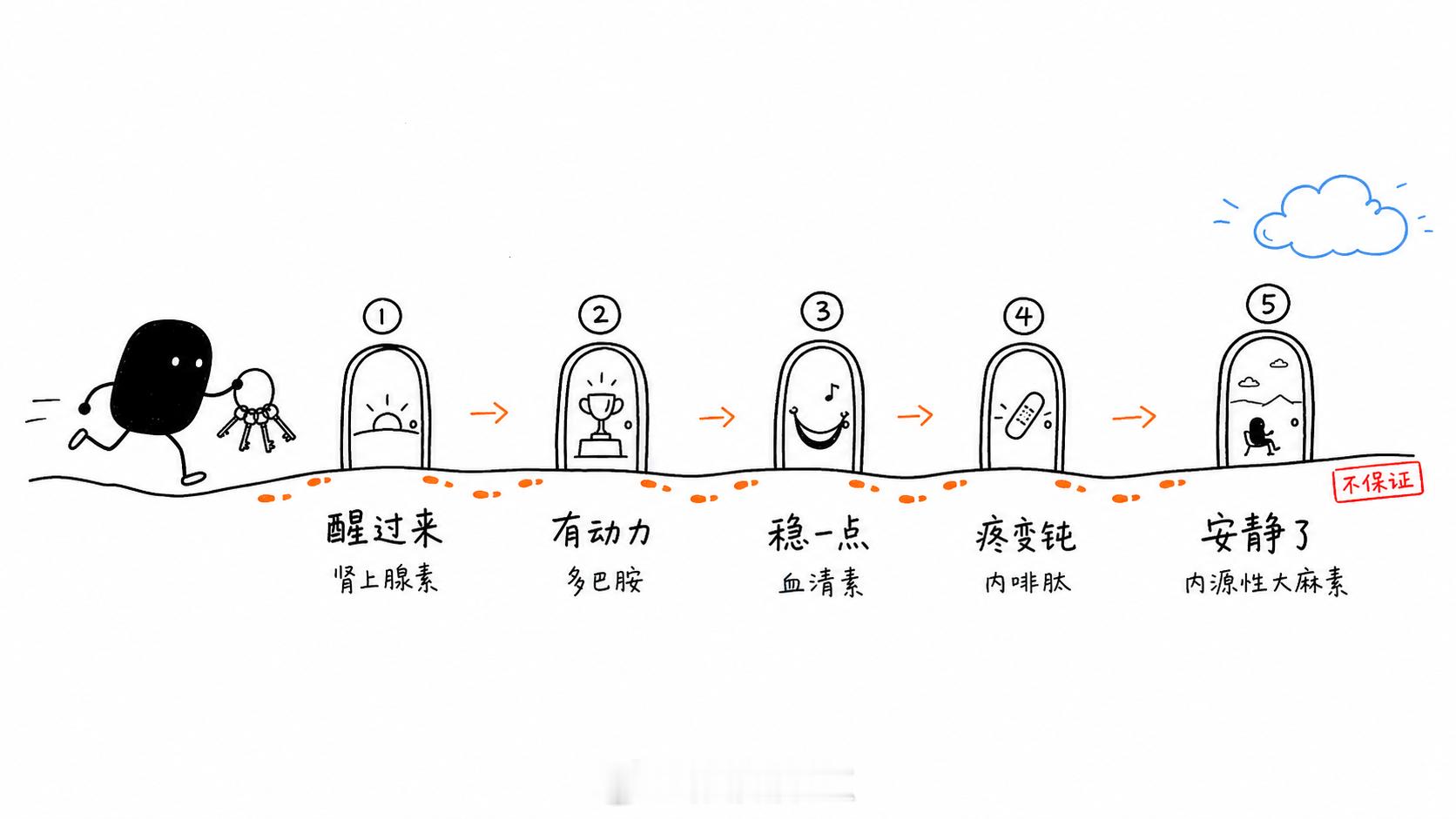 今天学到了，跑步其实有 5 种“奖励激素”阶段，你能跑到哪一层？其中第二层和第五