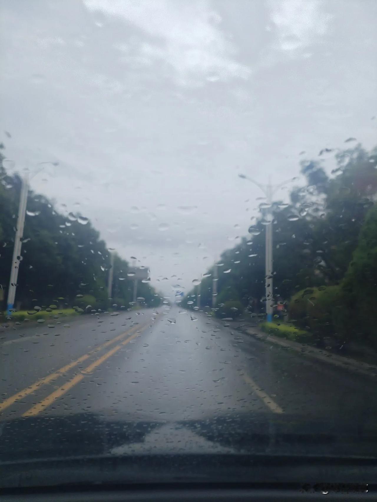 《七月的雨》

它的果断，宛如一场交响乐的激昂序曲。雷厉风行之际，那硕大的雨点瓢