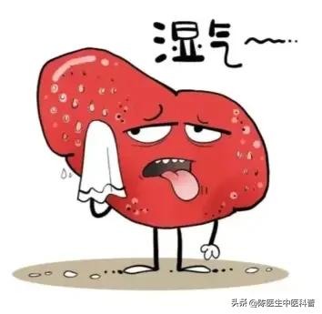 哪些人要祛湿？看这3个生活场景就懂，不用死记硬背
 
我是中医陈大夫，内容仅作健