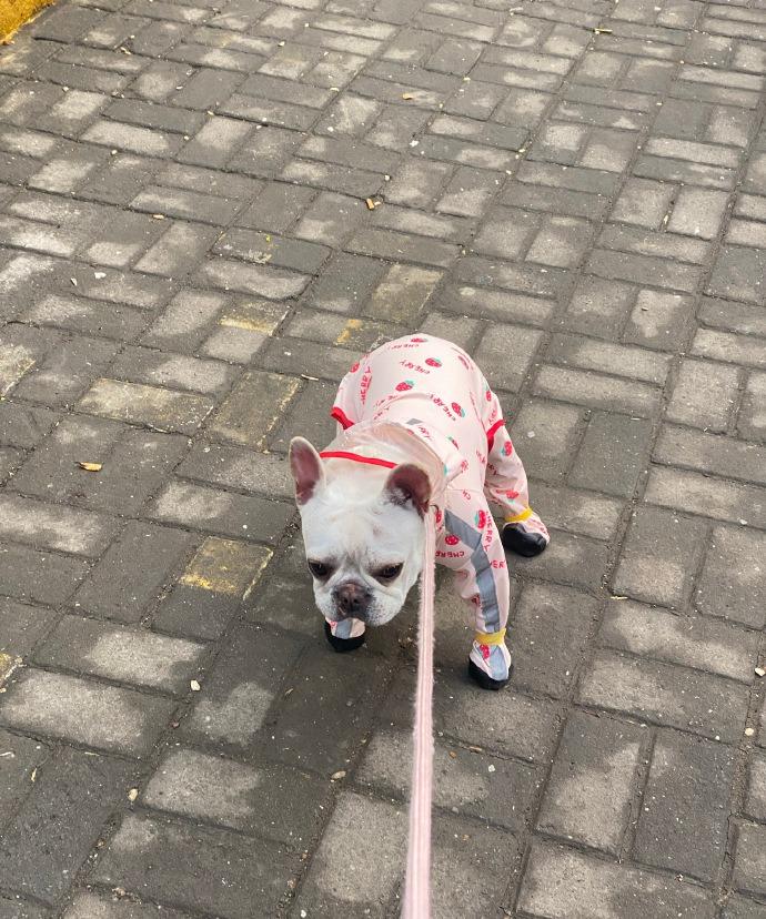 巧了，这情况我也有过！不过折腾到最后，赢得肯定还是我。毕竟胳膊哪能扭得过大腿呀，