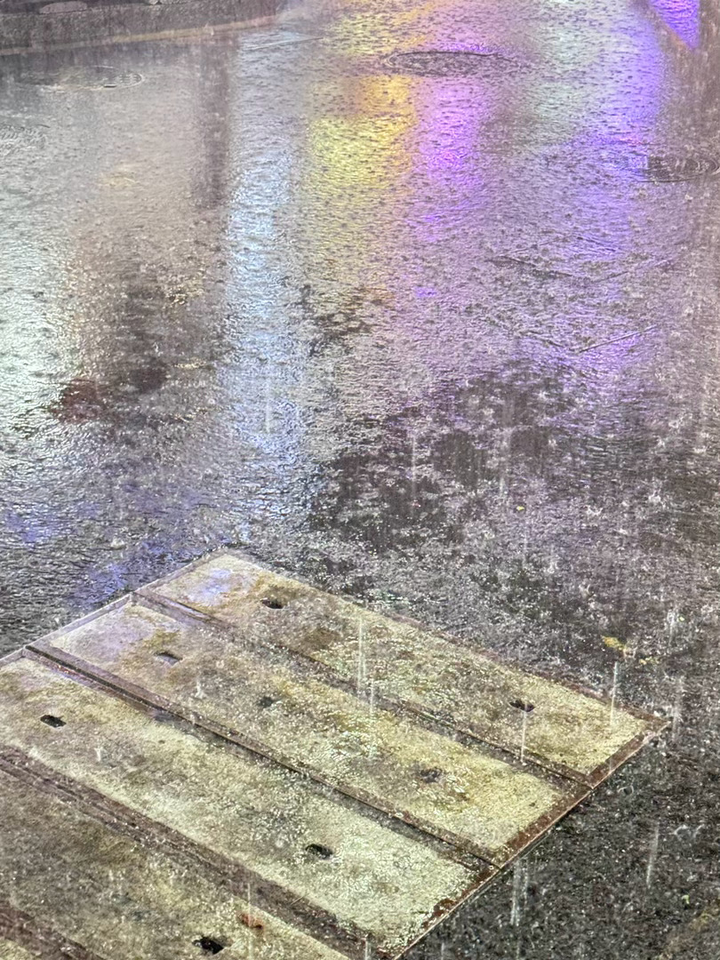 又回不去了