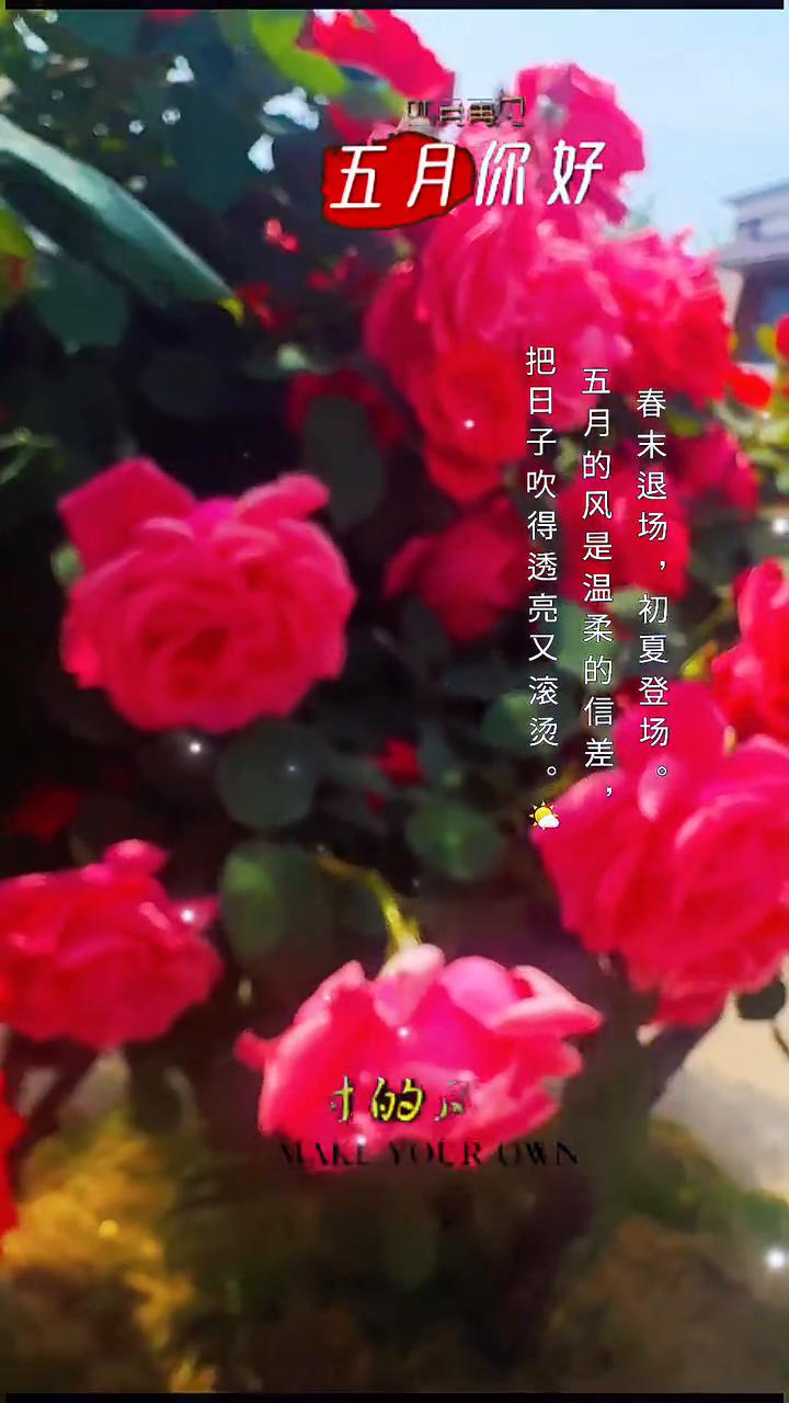 五月你好。
风走了，掠过四月的廉价，留下数年锦时的风华，让五月的到来如诗如画。