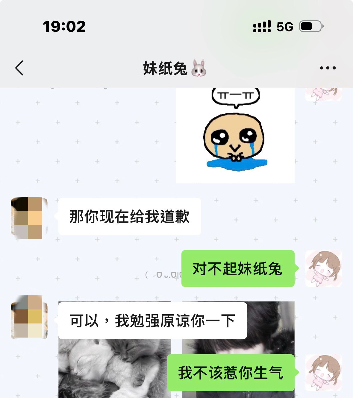 对不起🐰