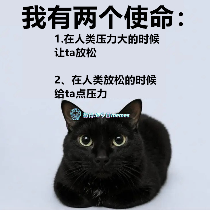 眼里没1（9gag）今日meme 今日memes