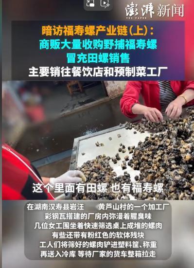 食品安全问题再次堪忧！如果你的孩子也吃，请立刻停止！狸猫换太子！火爆的田螺肉串原