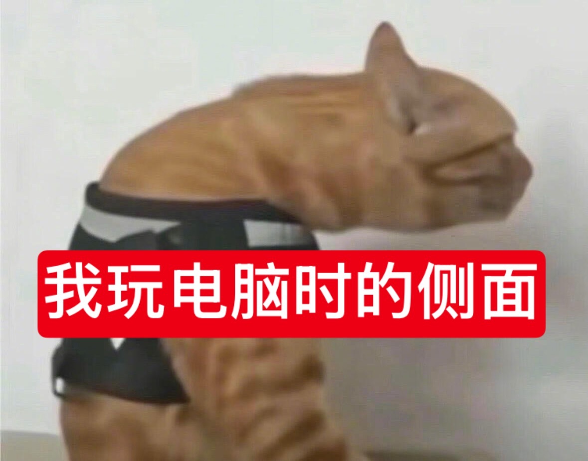 不好意思这就是我 