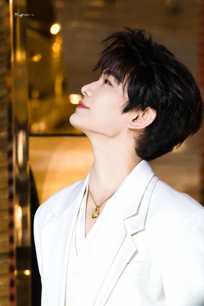 丁禹兮全球独一份的硬核宠爱丁禹兮宠粉的逆应援 丁禹兮全球独一份的硬核宠爱，丁禹兮