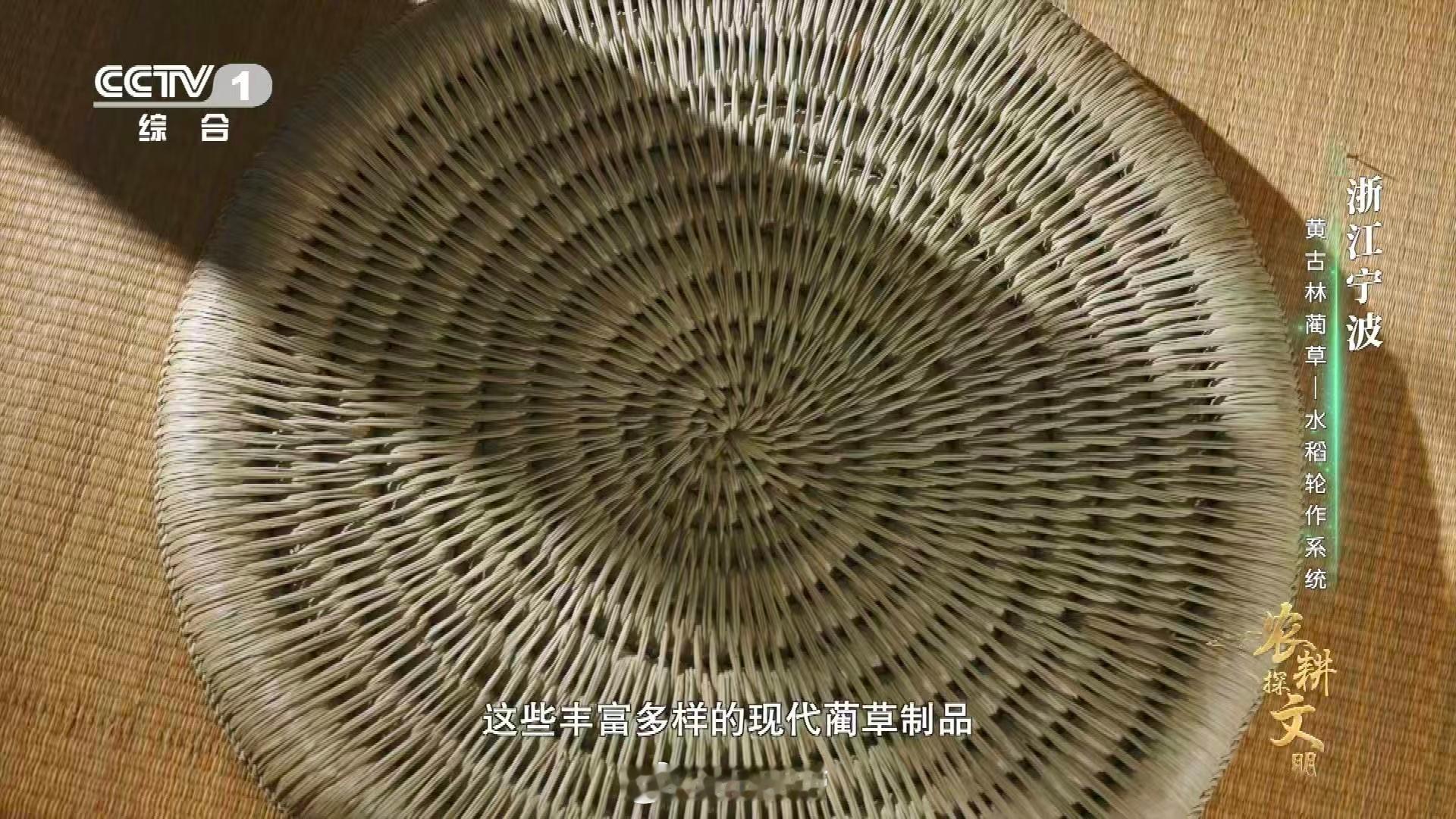 女子用草编出一整个动物园野草在她掌心获得第二次生命！跳跃的兔子、漫步的大象，草编