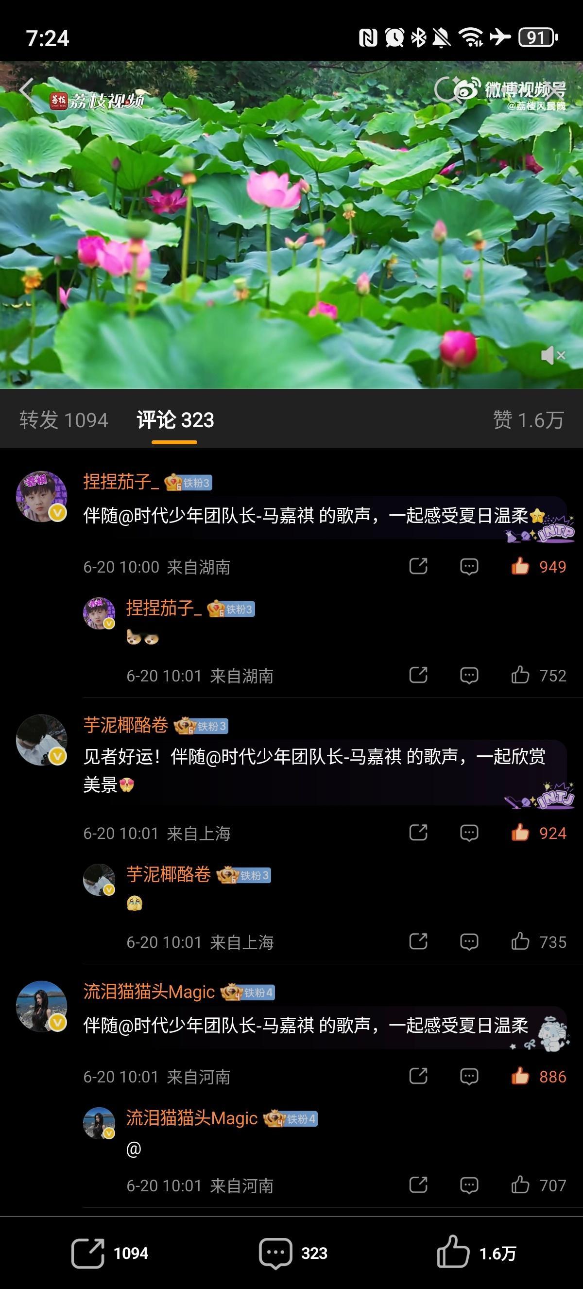 ✔️🈳网页链接  专栏 · 🈳评组