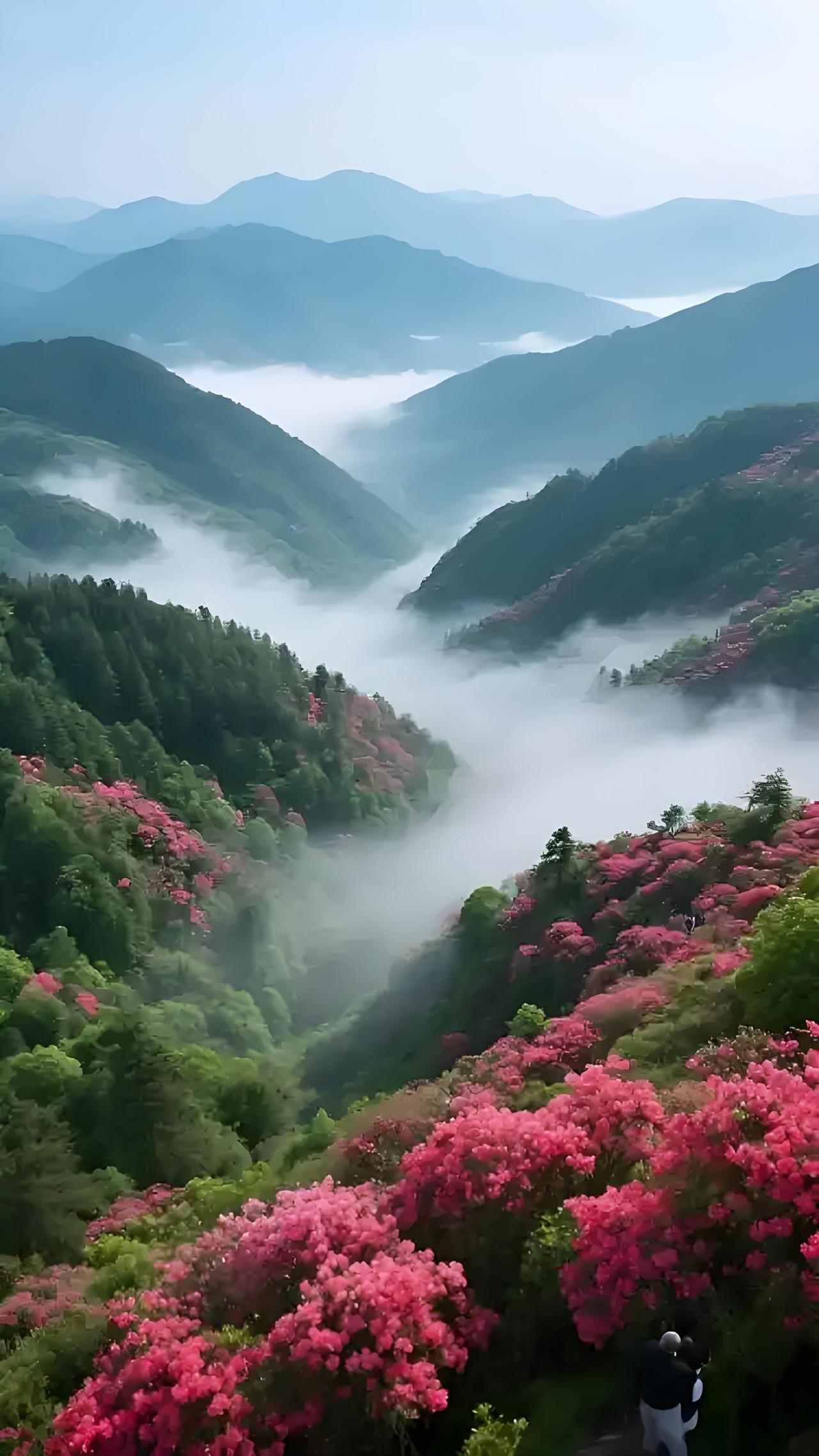 湖北咸宁有不少大企业。维达力科技股份有限公司很突出，它2015年成立于赤壁，专注