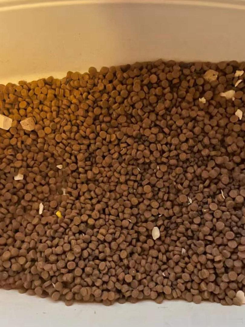 京东宠物节请客全国毛孩子 "大容量烘焙猫粮囤货首选✅就是这个领先烘焙猫粮啦！12