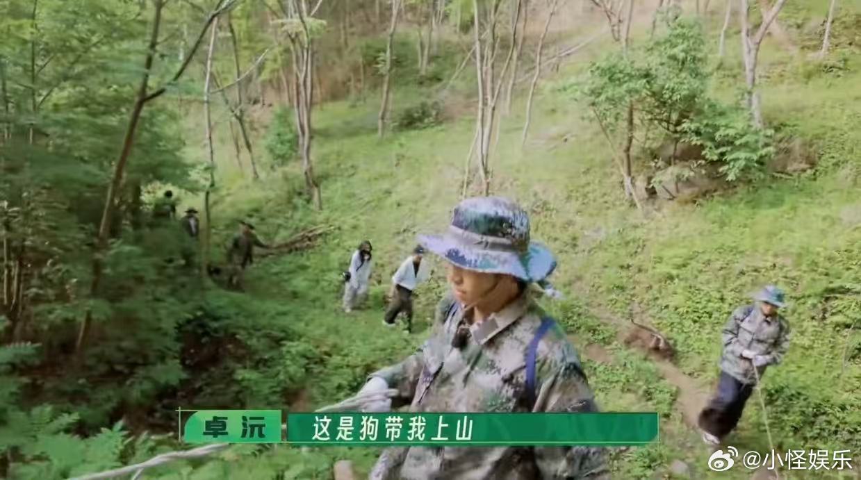 卓沅被狗带飞了 家人们谁懂！卓沅和狗的反差萌太绝，说好的帮手变“领导”，这狗是懂