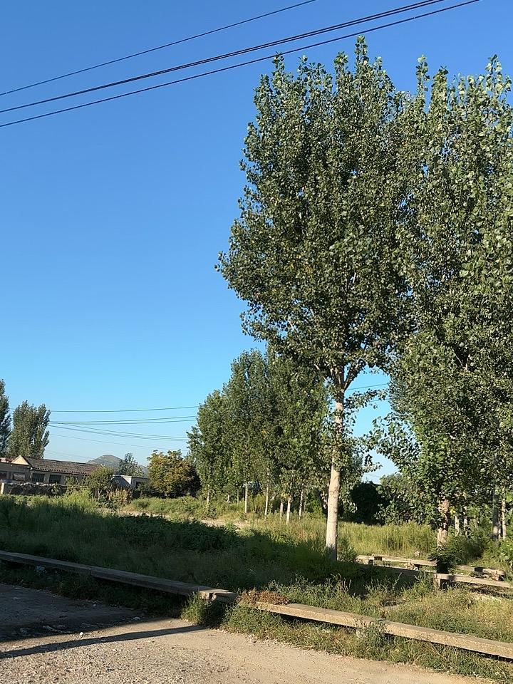 今天终于感受到秋天的味道了！秋高气爽，凉风习习，整个人都心旷神怡！
