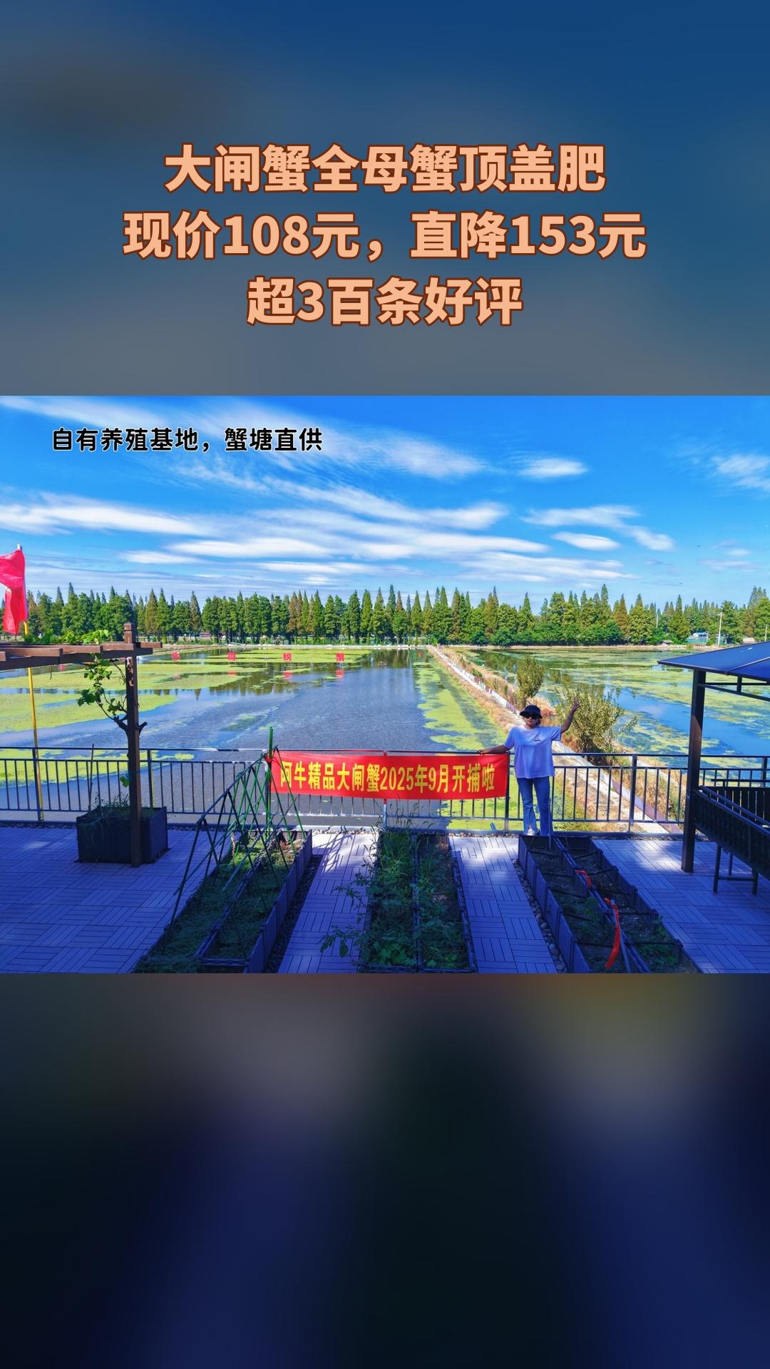 阿牛精品生态大闸蟹，爆款来袭，4.5分推荐，大闸蟹全母蟹顶盖肥2-4人...