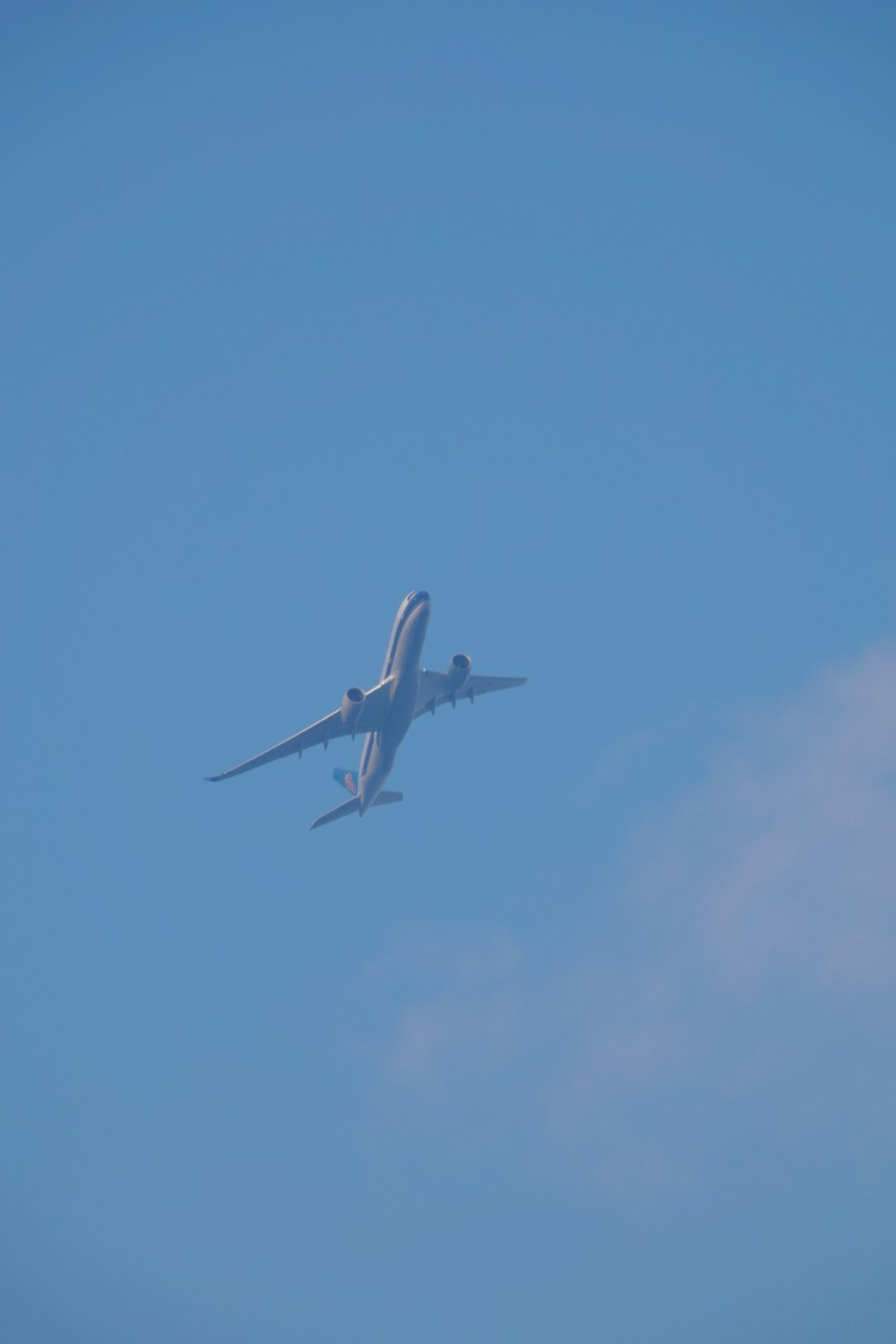 饱饱👀灰机✈ 