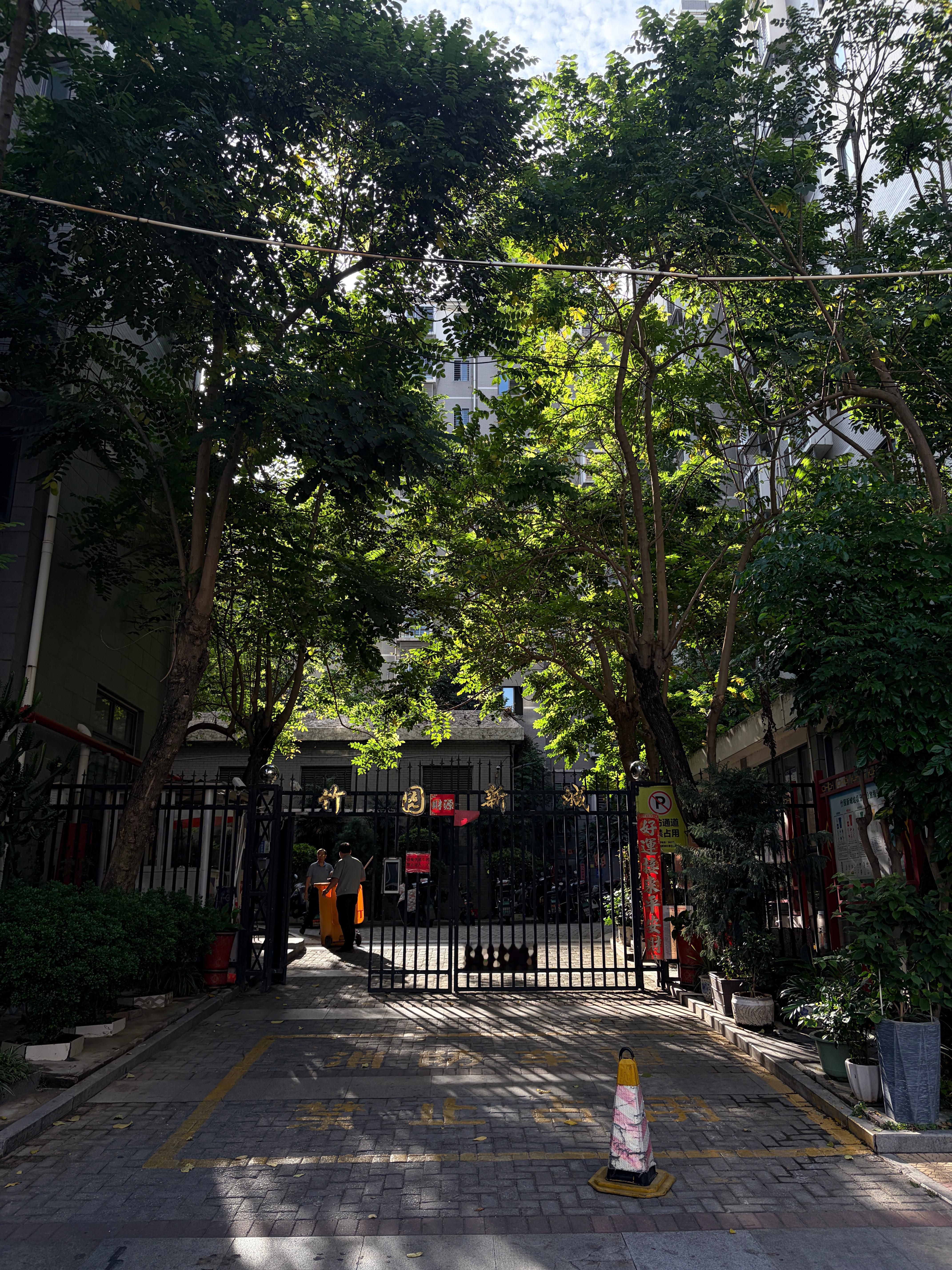 早啊家人们 ​​​