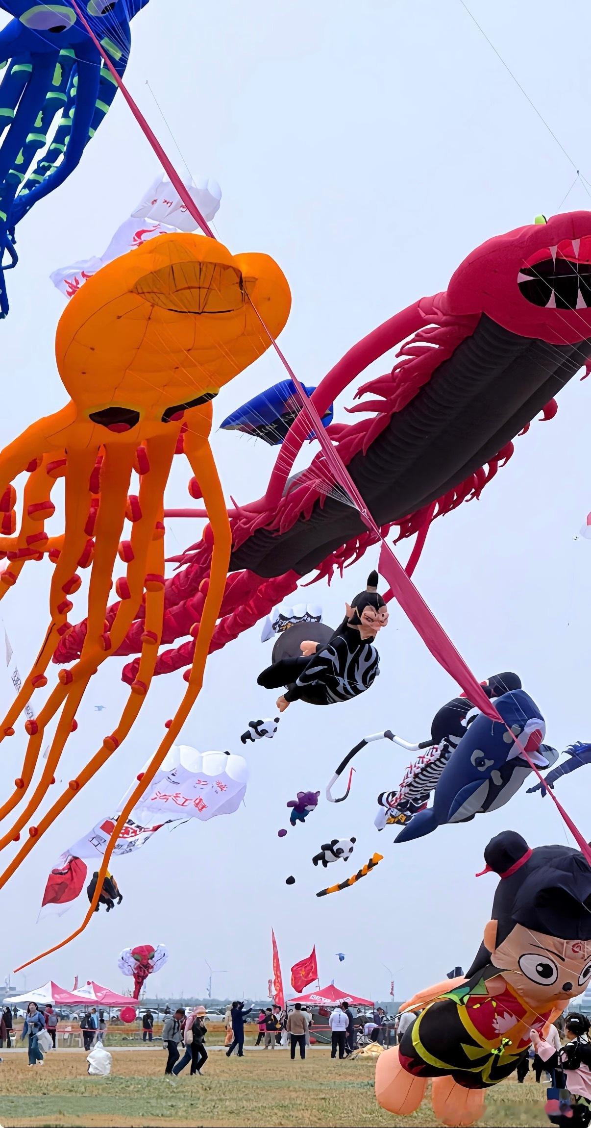 第一次见会搭讪的风筝第一次用社牛评价一个风筝🤪别的风筝优雅高飞，它忙着空中社交