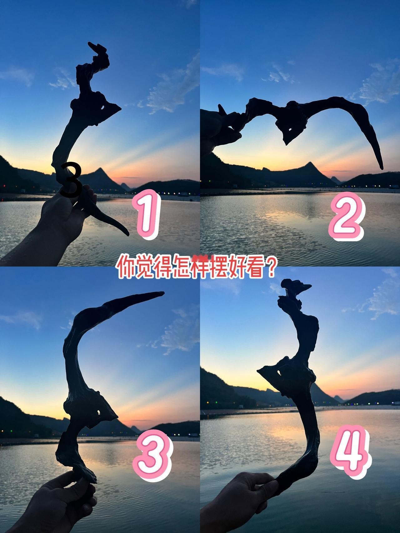 钓鱼回来捡的树根，结实又精致#户外 #钓鱼人 #钓鱼佬