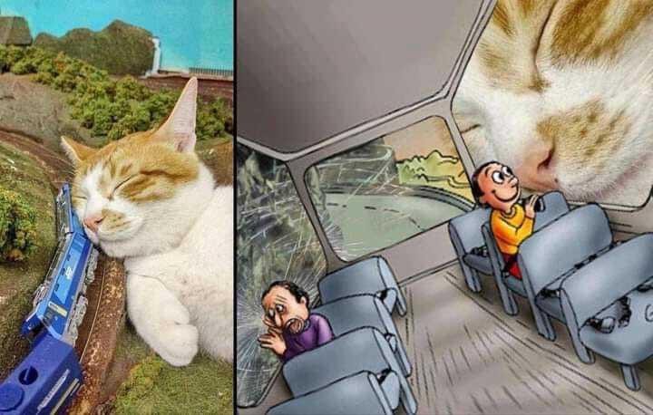猫猫#(:-D)# ​​​
