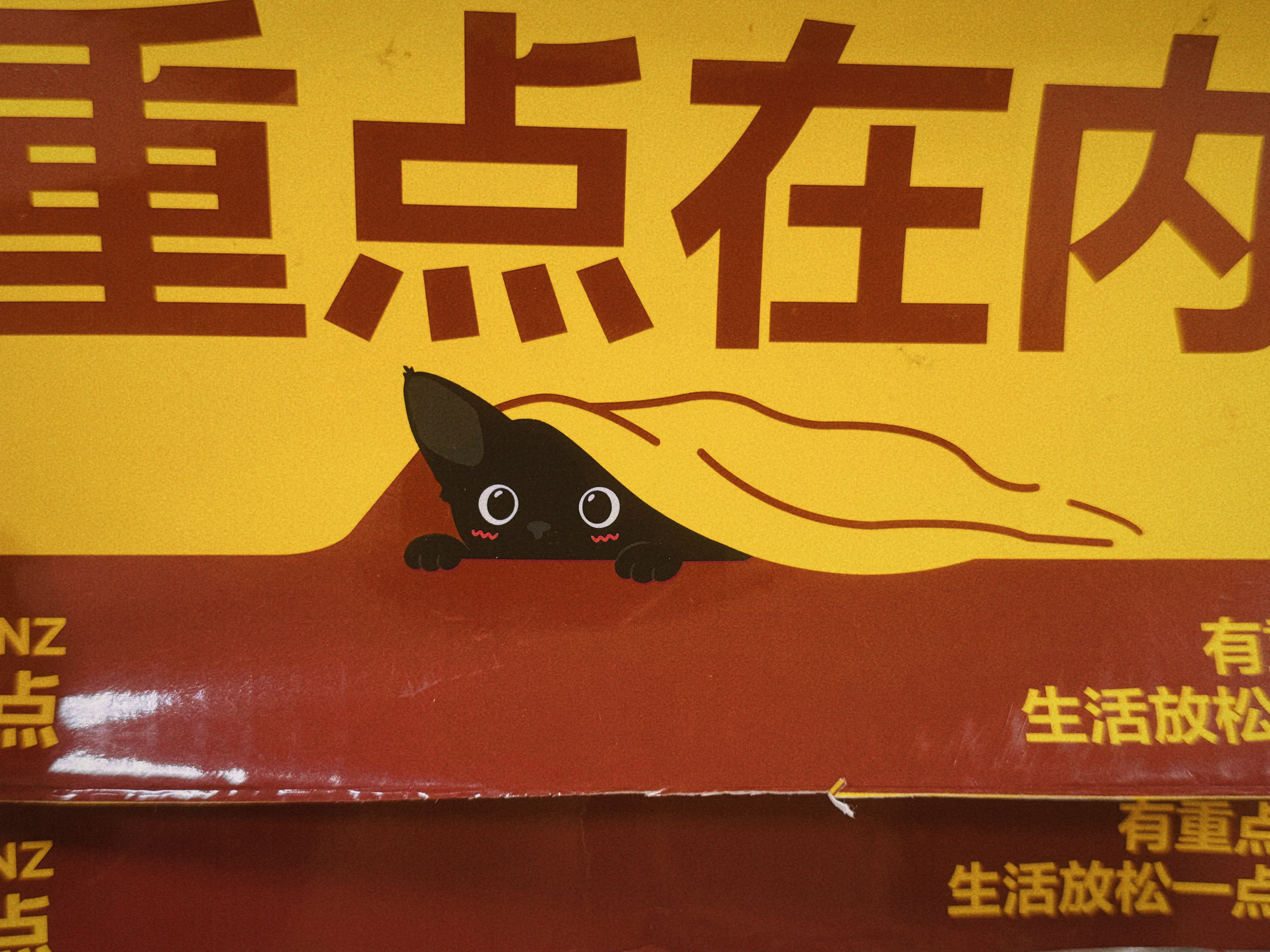 一家猫鼠都到家🥺🤲🏻小per快递盒更新！萌啊！这个小per这里爬爬那里钻钻
