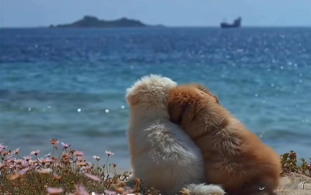 女人嫁到有德的家庭，疯子也能变正常，嫁到无德的家庭，正常也能变疯子，这不是鸡汤，