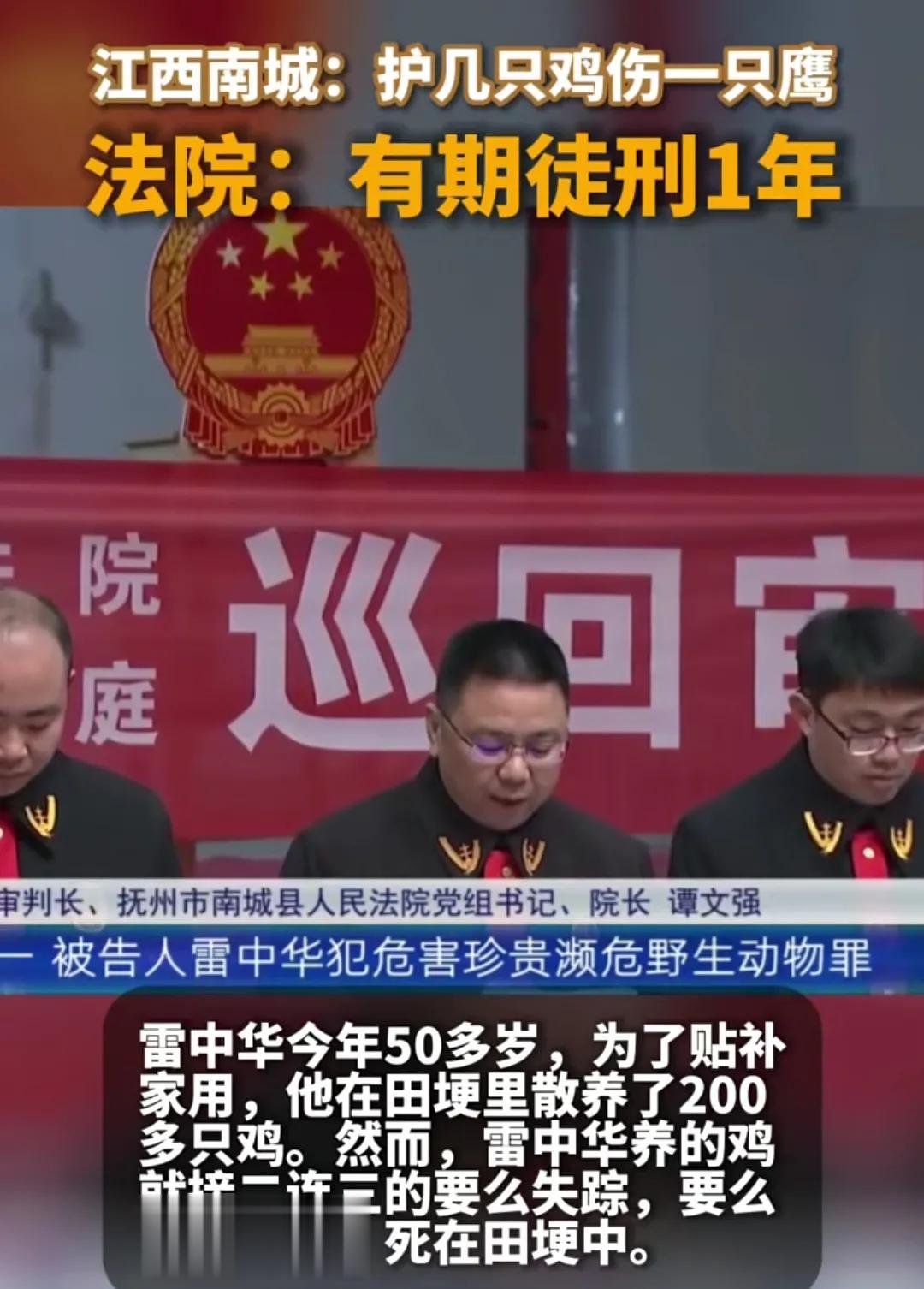 为了保护自家鸡，伤害保护动物被判刑！一位50多岁的人，在自家的鸡被保护动物偷吃后