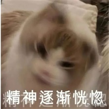 没有柚子的市场每天枯燥乏味，快回来吧