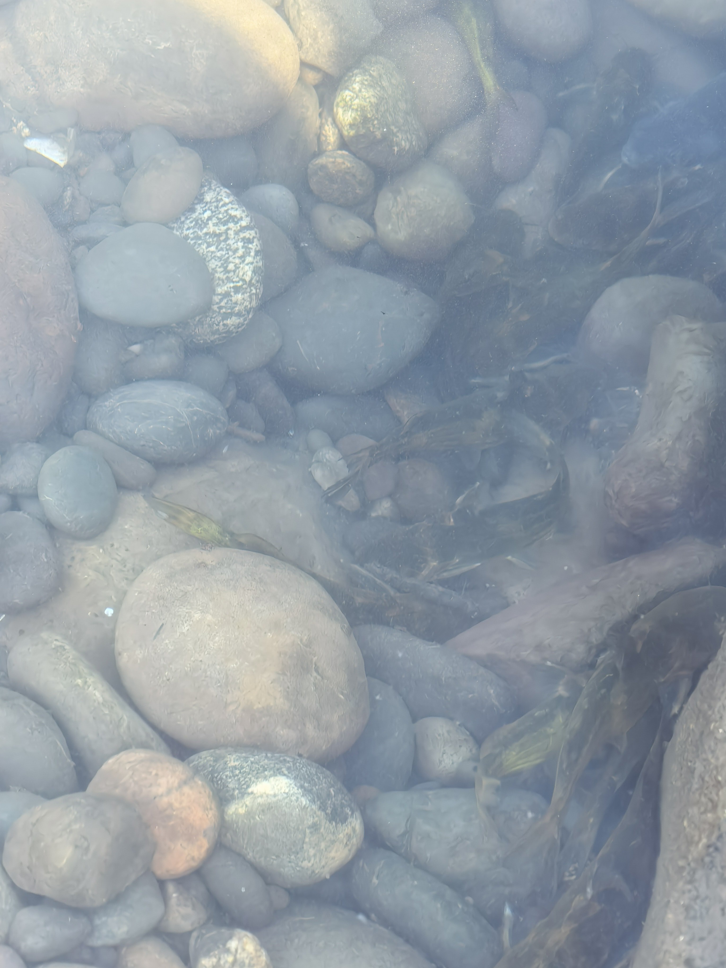 在江边遇到这种情况该怎么办