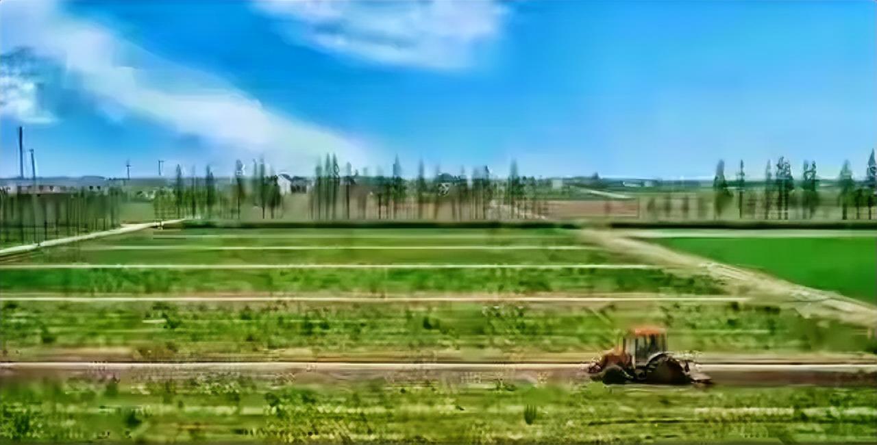 每次回农村老家，都忍不住心里发涩：村口的水泥路修得又宽又平，却鲜少看到行人匆匆；