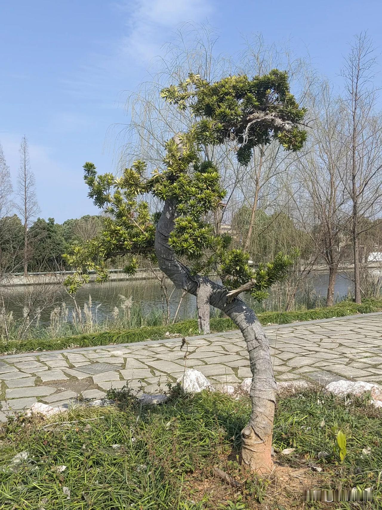 女人长太漂亮不一定活得轻松

       又到了下午茶八卦时间，王姐拿着咖啡轻