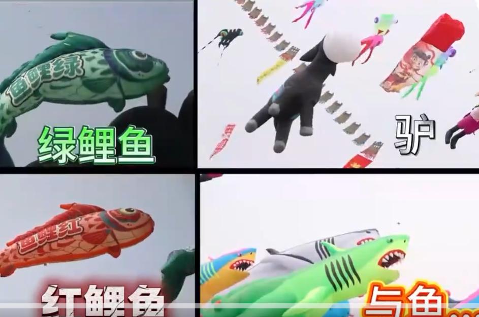 壮观！“红鲤鱼绿鲤鱼与驴”在潍坊都飞上天

这波潍坊风筝节真的把我看傻了！一句从