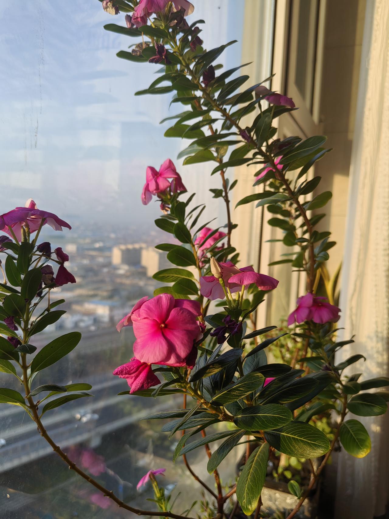 外卖“新国标”的落地，正从三个关键维度重塑行业生态：
 
一是给竞争“降温”。禁