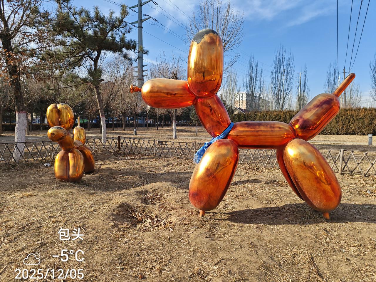 鹿城，没有看到鹿🦌，但在莫尼公园，看到了这个可爱的家伙！
冬天的阳光下，朝气蓬