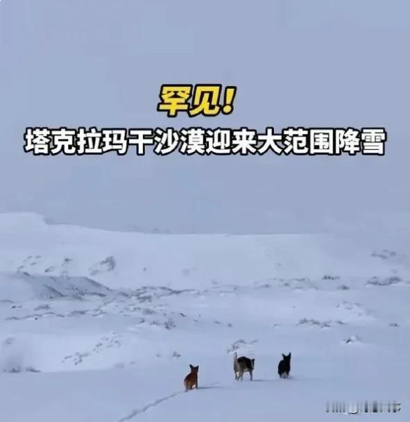 天佑中华，国运昌盛，真是势不可挡。

新疆塔克拉玛干沙漠竟然飘雪了！

经过四十
