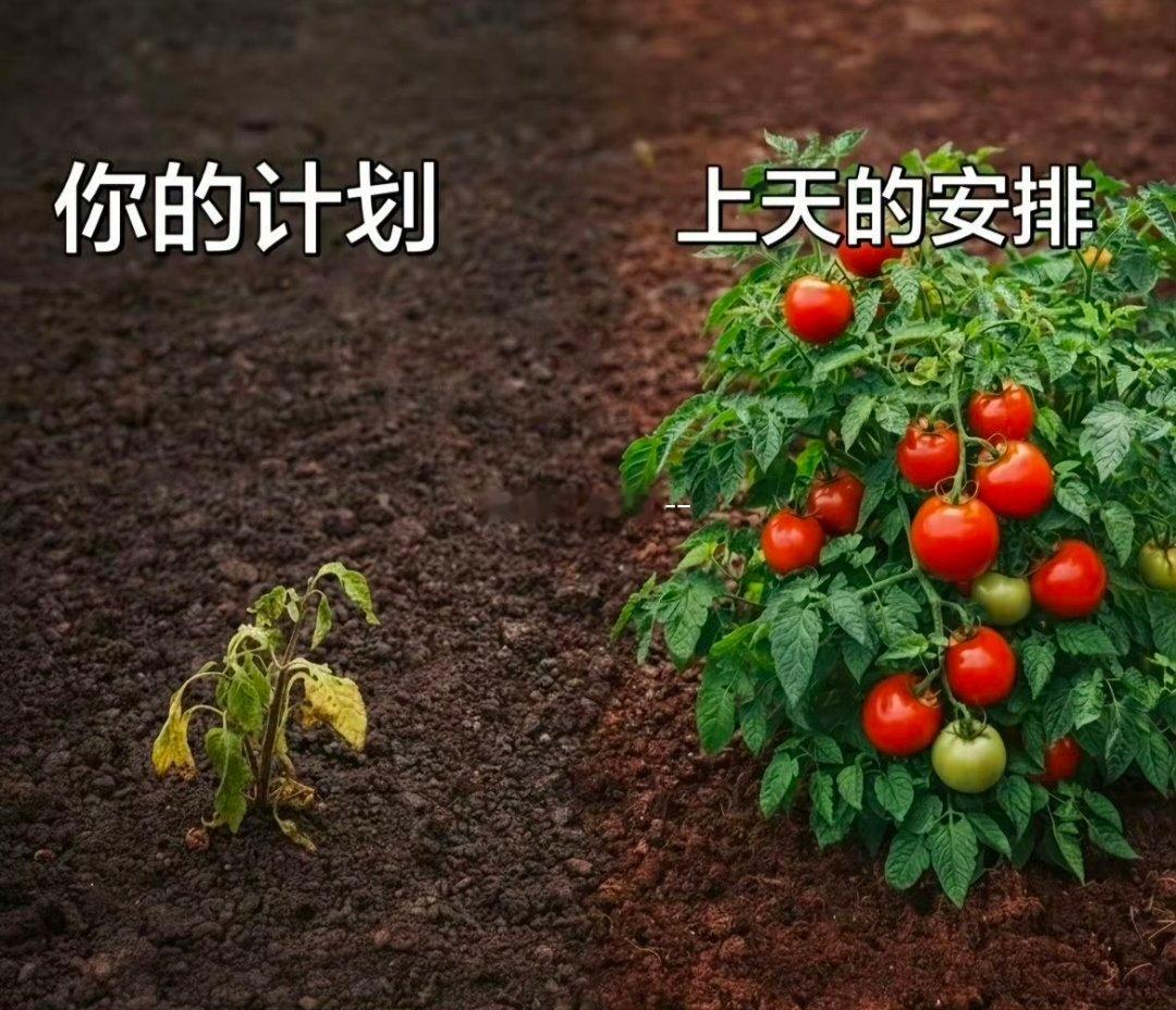 6月即将收获远超计划的大结果～～赞一个！